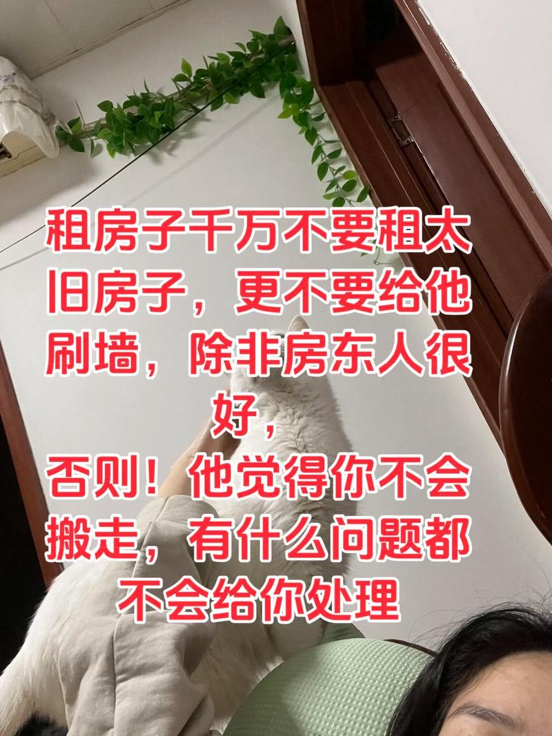租房怎么上墙