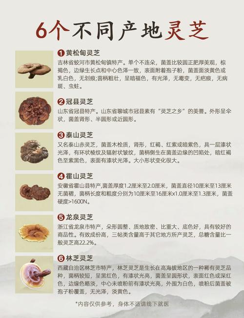 灵芝房价