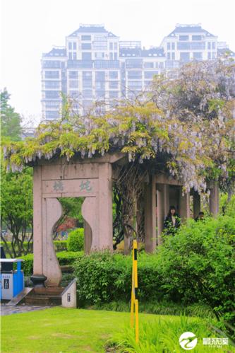 慈溪旦山花园