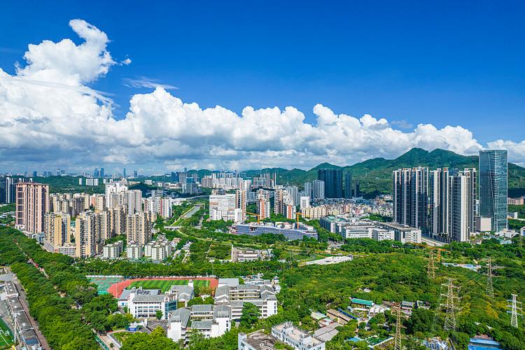 西丽大学城附近楼盘