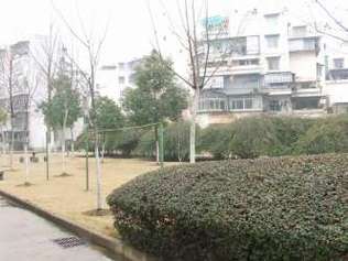 常青花园峻岭