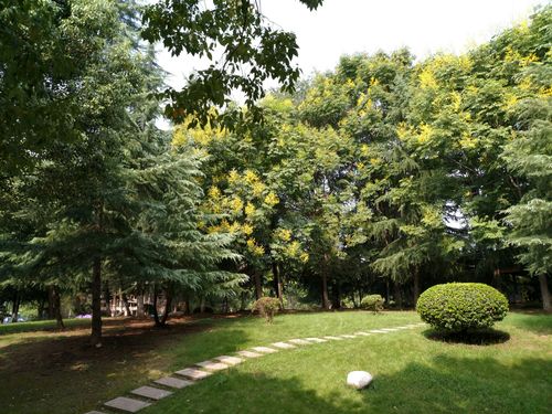常青花园峻岭