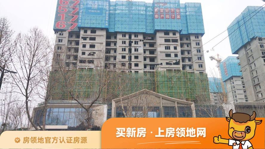洛阳有万科的楼盘吗