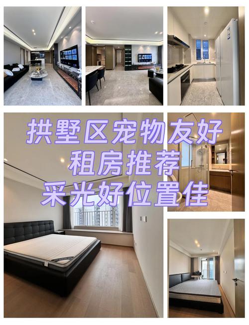 养猫租房怎么租