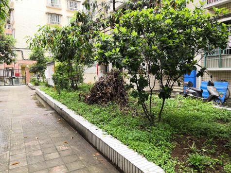 建鑫花园房价