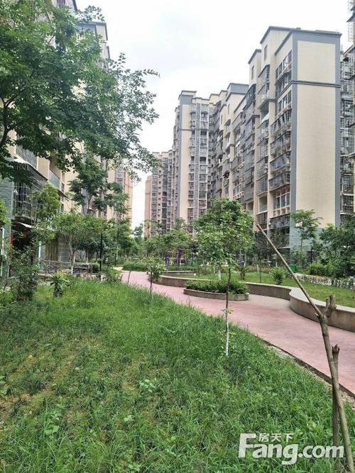 南充下中坝哪个楼盘好