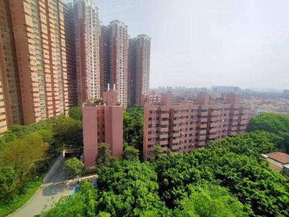 广州瑞安花园诈骗