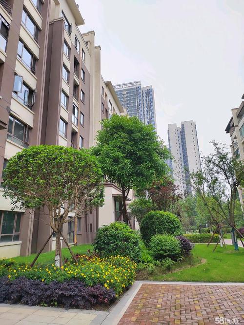 成都温江金马镇房价