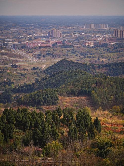 简阳三岔湖最新楼盘