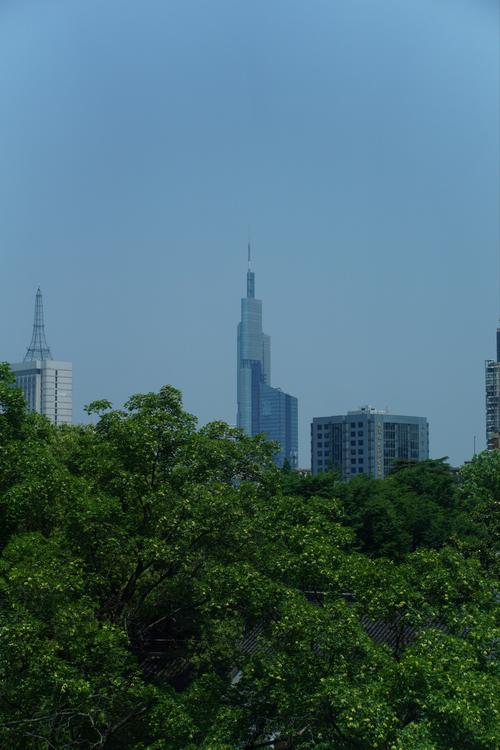 南京紫峰花园