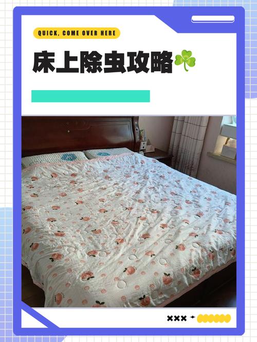 租房怎么除虫