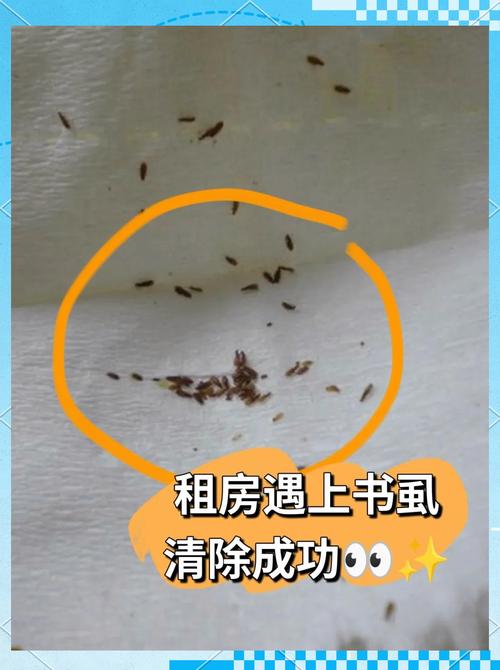 租房怎么除虫