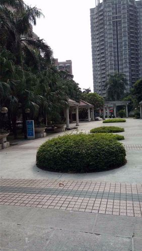 黄岐二手楼盘