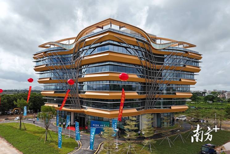 老隆在建预售楼盘