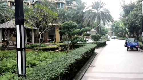 新秀金枫花园