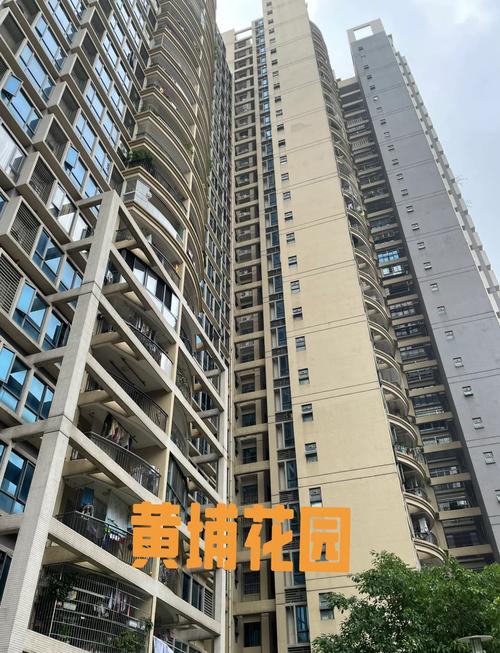 惠东金埔花园