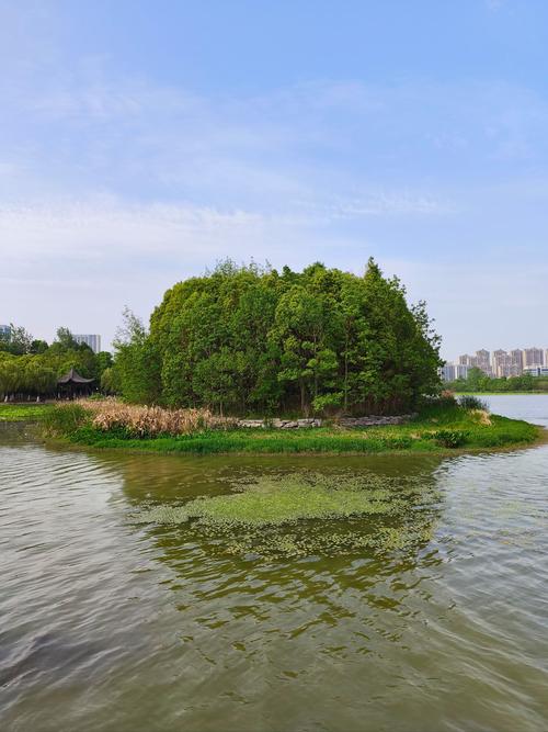 合肥陶冲湖楼盘骗傻子
