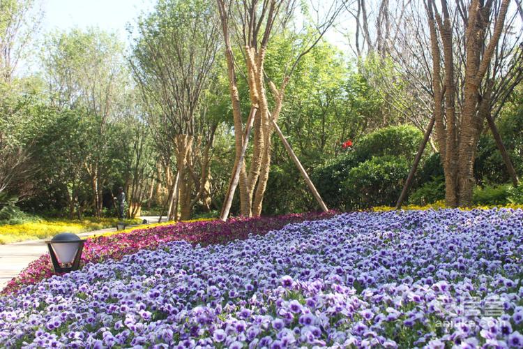 郑州市豫森城楼盘