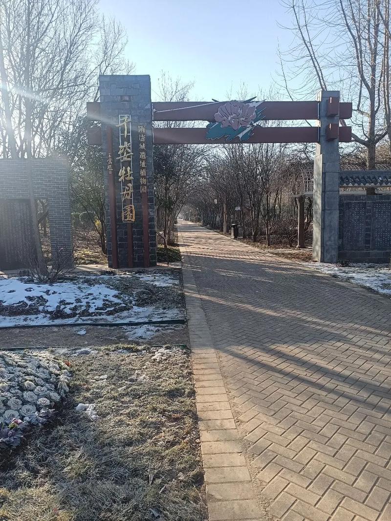 洛阳王城花园