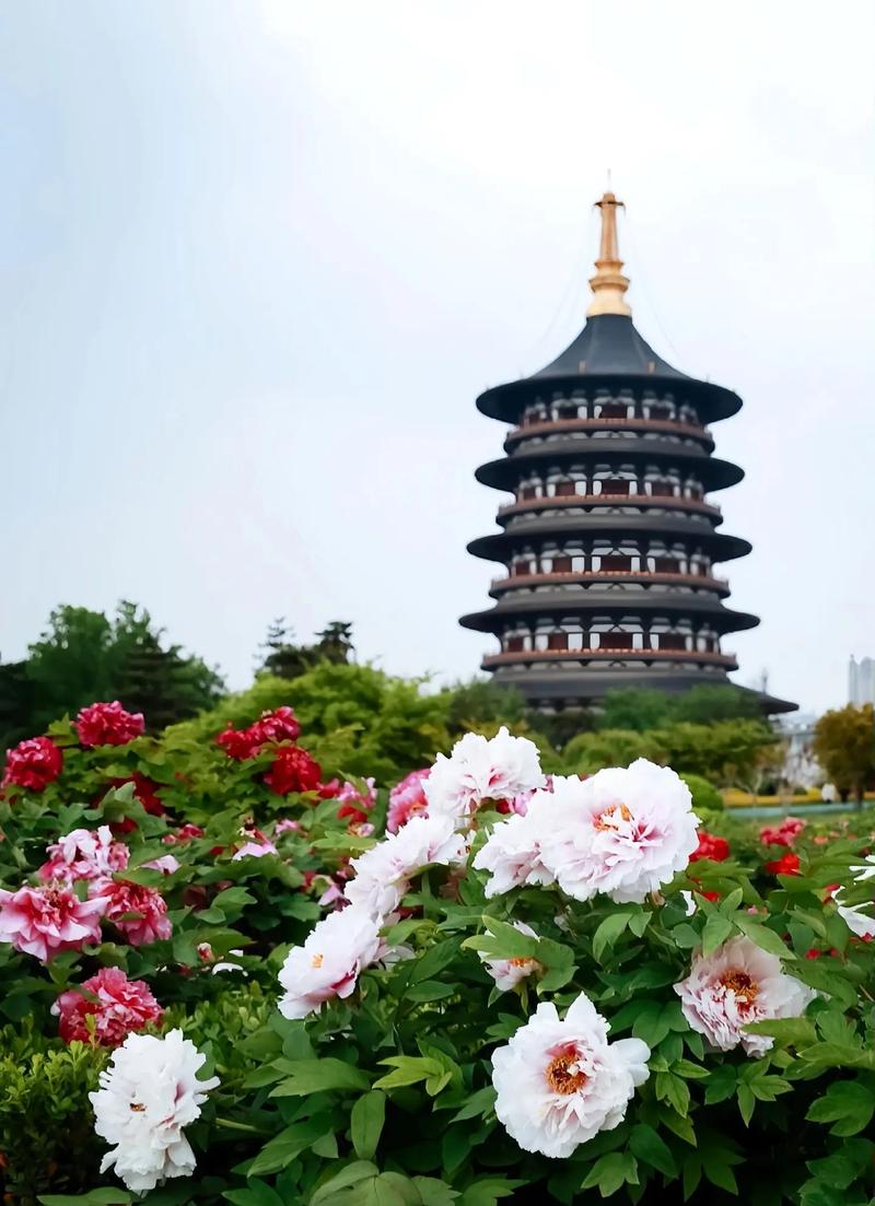 洛阳王城花园