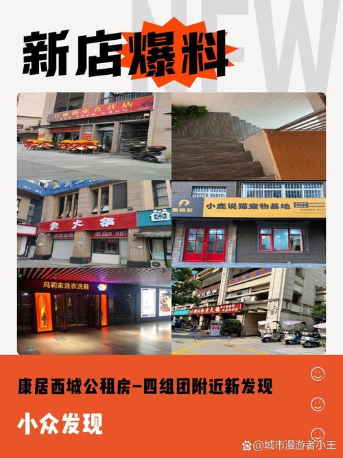 康居西城公租房怎么样