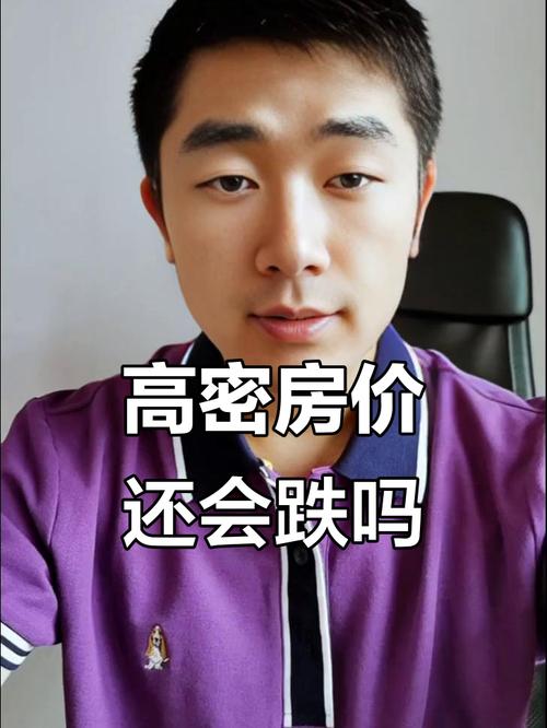 2017高密房价