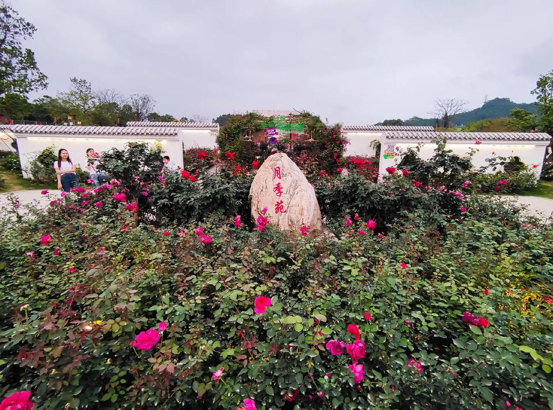 玫瑰花园网站