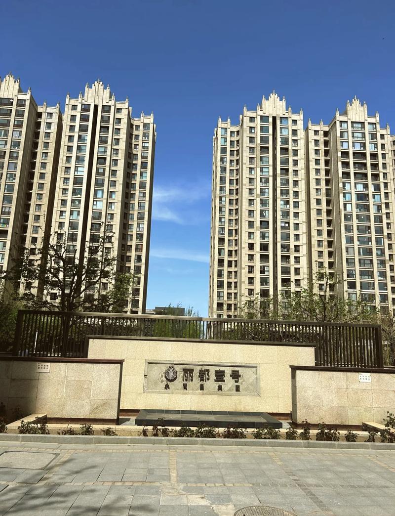 国际丽都房价