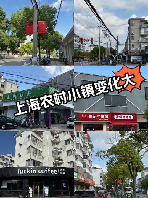 崇明新河房价