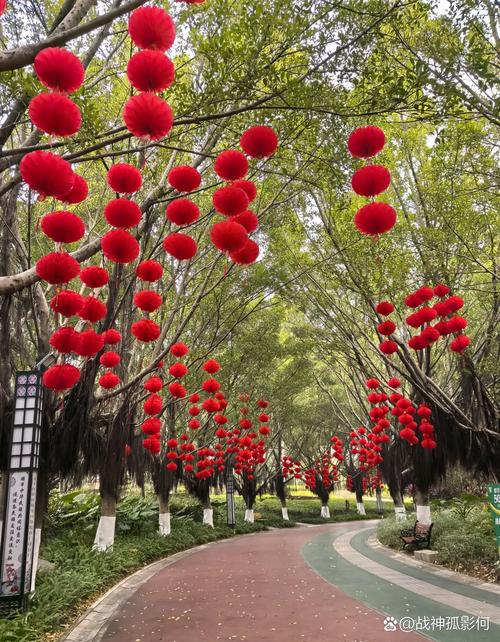 揭阳彩龙花园