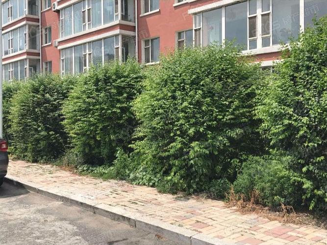 长春沁馨花园