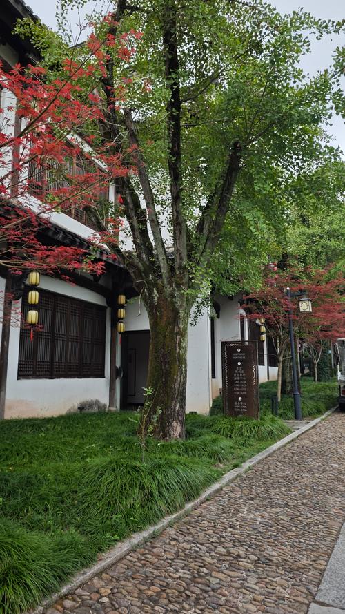 杭州西冷花园