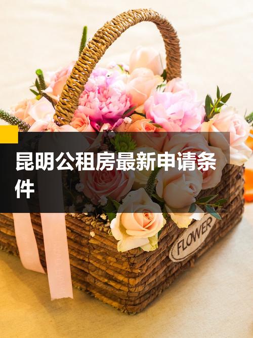 在昆明怎么申请公租房