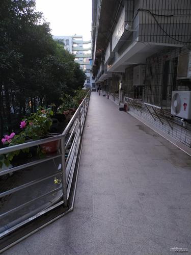 厦门新金花园