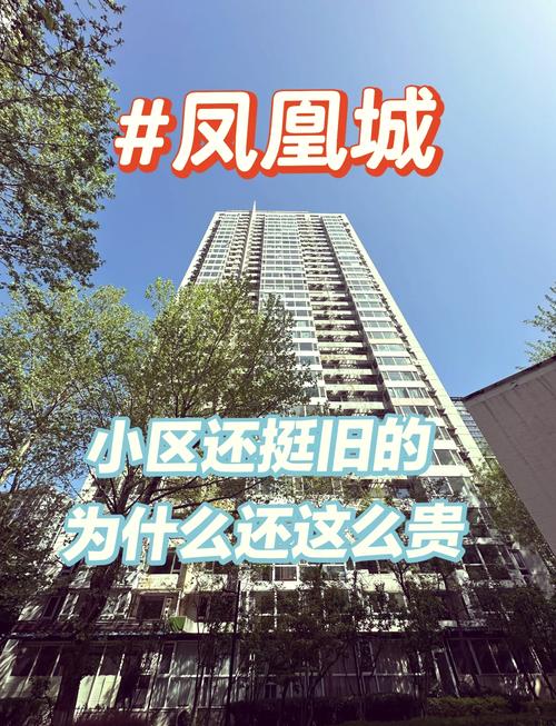 三元桥凤凰城房价