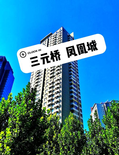 三元桥凤凰城房价