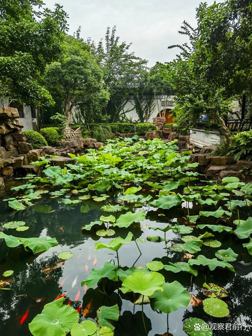 叶雨溪花园