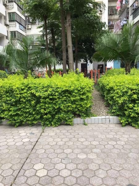 江头中环花园