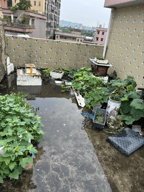 大春家花园