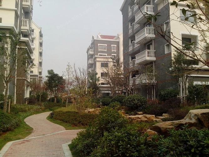 信阳市口碑最好的楼盘