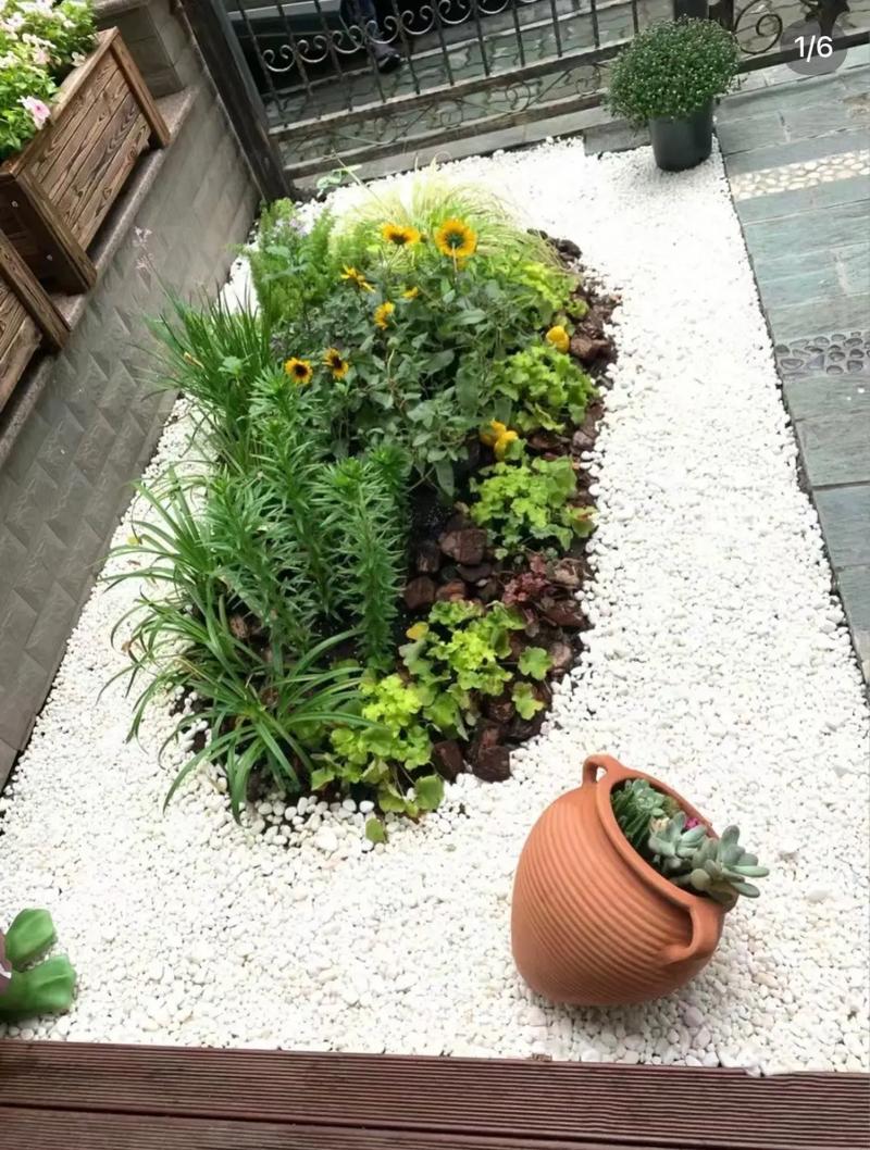 布设小花园