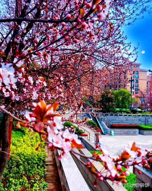 京山春风花园