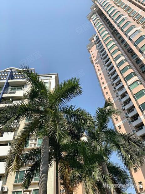上海丽都花园