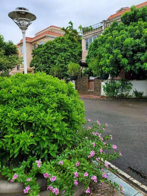 绿茵岛花园