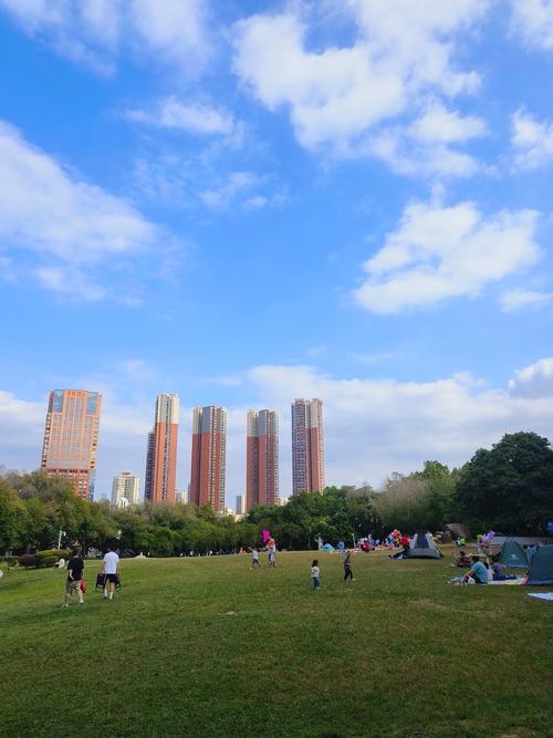 深圳灵芝花园