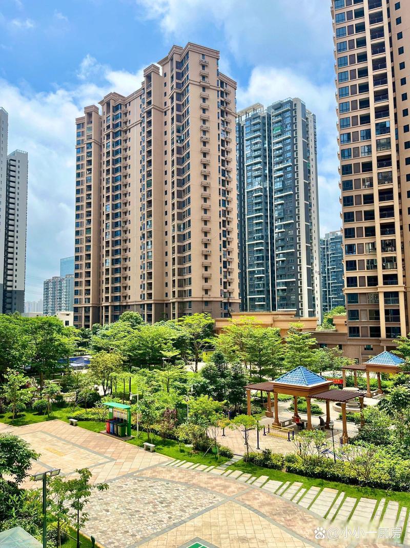深圳8月楼盘