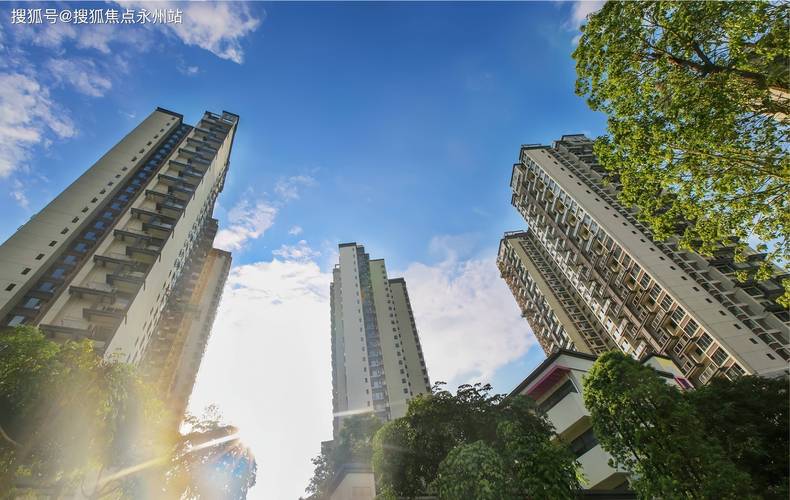 深圳市龙岗新楼盘
