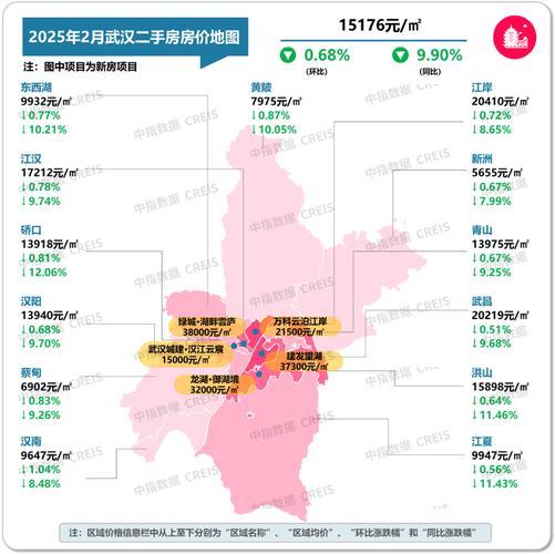 武汉武湖楼盘限购了