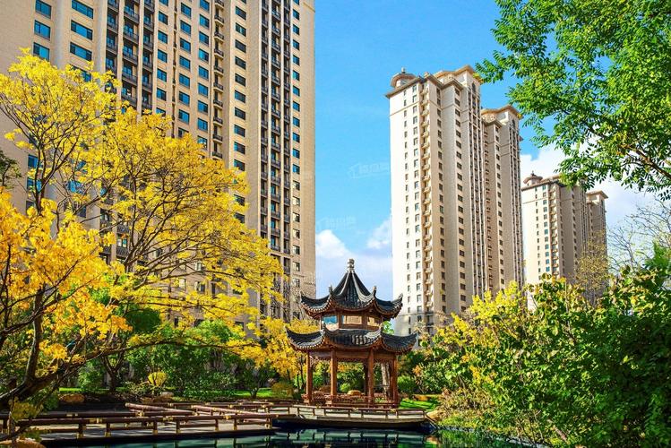 沈阳哪个楼盘比较好