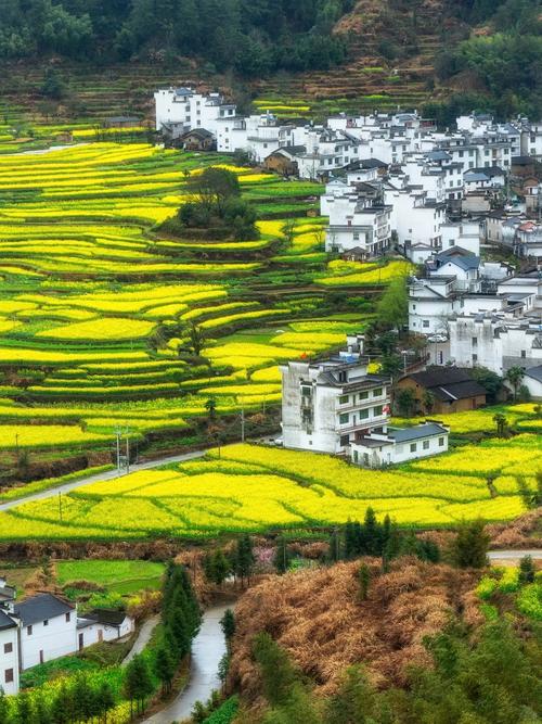 婺江花园